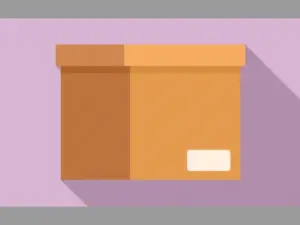 Maxi -Cosi Convertible Car Seat