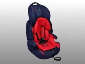 Harry & Honey Car Seat