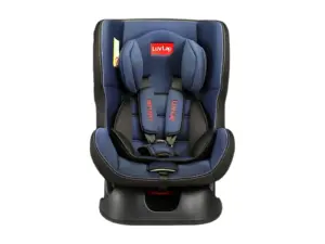 Luvlap Convertible Car Seat Blue